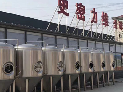 宁陕精酿啤酒设备厂—如何判断精酿啤酒设备的密封件需要更换？